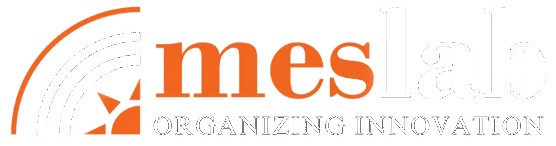 MES LAB — Organizing Innovation