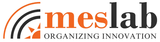 MES LAB — Organizing Innovation